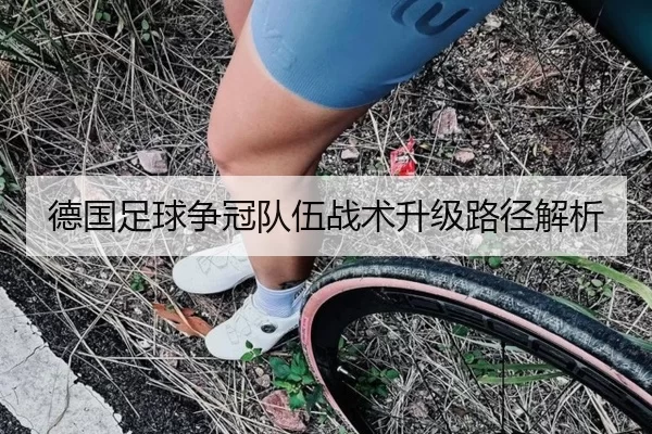 德国足球争冠队伍战术升级路径解析
